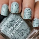 deborahlippmannrockinrobin3