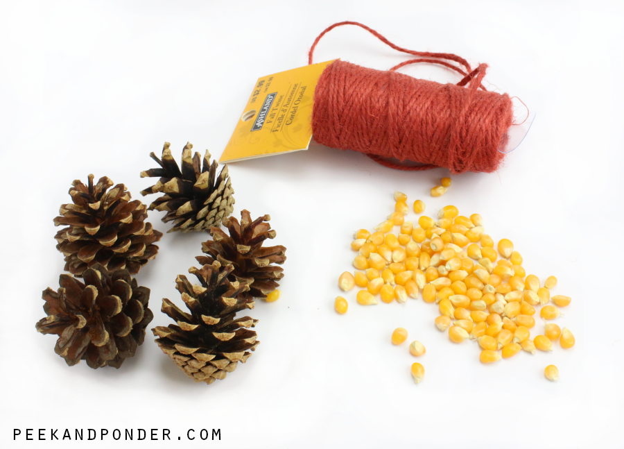 Fall DIY supplies