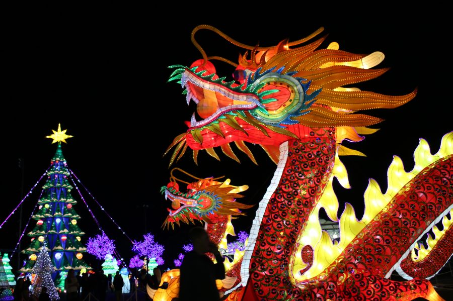 dragons