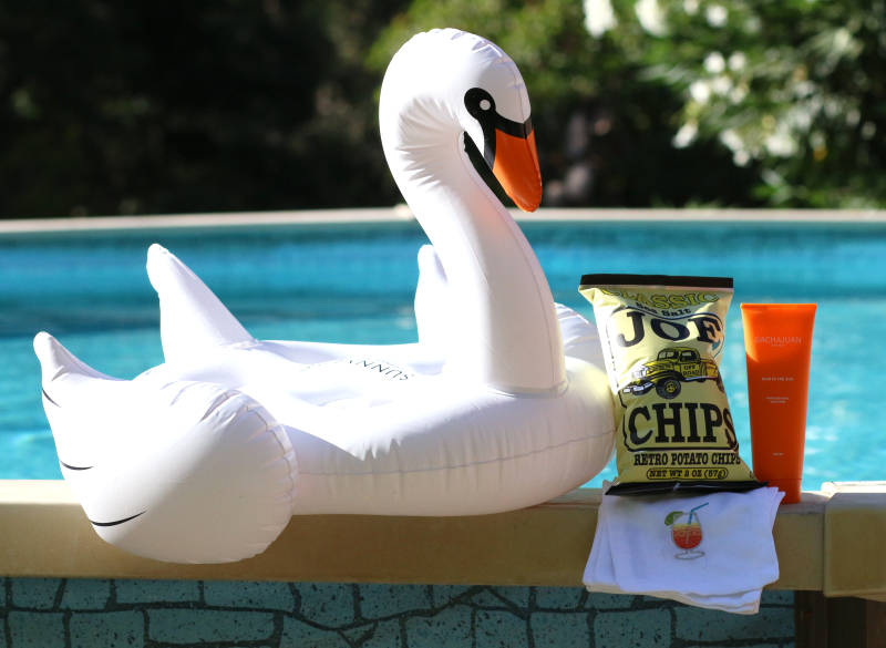 blow-up swan and other lifestyle products