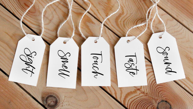 gift tags for sight, sound, smell, taste, and touch